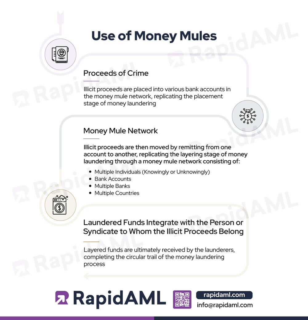 Use of Money Mules