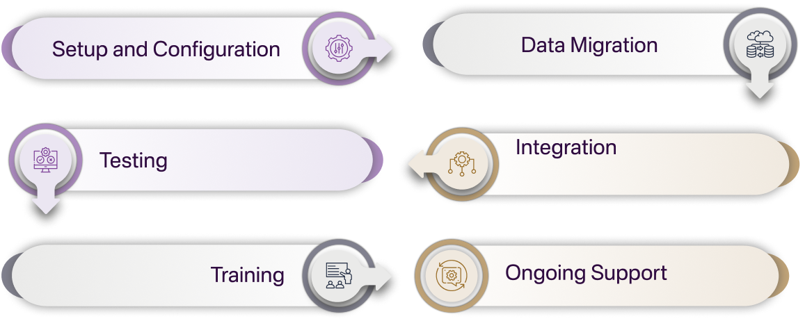 RapidAML Screening Software Implementation Process for TCSPs in UAE infographics