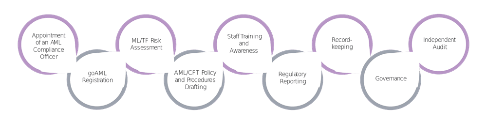 Accountants and Auditors and Their AML Compliance Obligations in the UAE